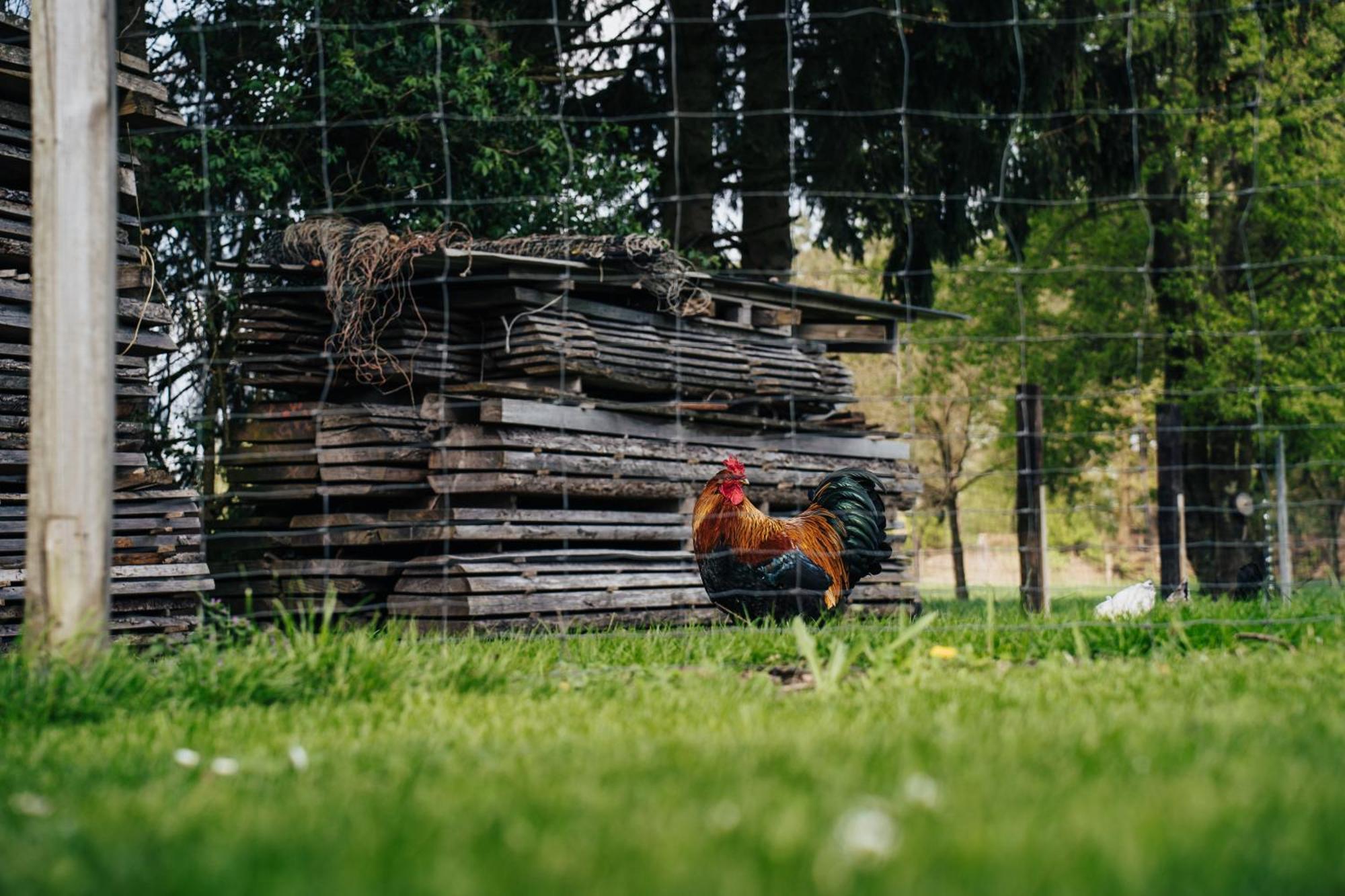 Ferienhaus Getreidesilo Schneverdingen Kültér fotó